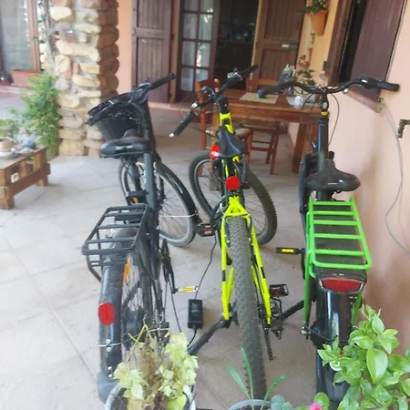 Paraiso Sardo 1 Проживание в семье Вилласимиус