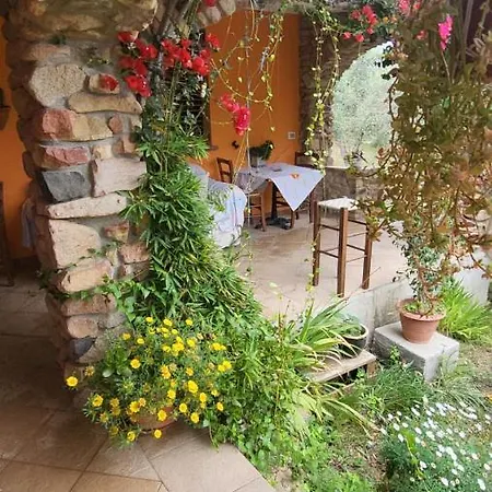 Homestay Paraiso Sardo 1